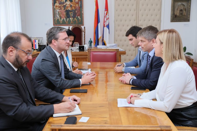 Селаковић и Гујон разговарали на тему заједничких пројеката у циљу представљања српске културе у свету