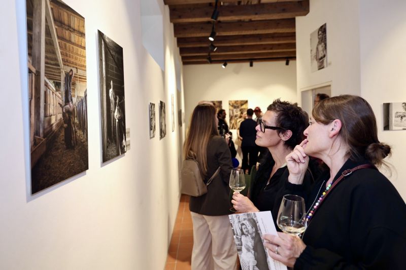 Image for the Tweet beginning: 🇨🇭 Gouillon opens exhibition on